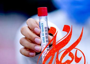 مجموعه مستند پاکبازان