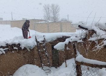 تیزر مستند «اَرجِنا» منتشر شد/ قصهِ نذرِ مردی 84 ساله برای حفاظت از محیط زیست