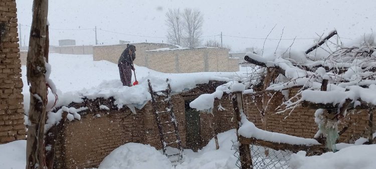 تیزر مستند «اَرجِنا» منتشر شد/ قصهِ نذرِ مردی 84 ساله برای حفاظت از محیط زیست