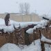 تیزر مستند «اَرجِنا» منتشر شد/ قصهِ نذرِ مردی 84 ساله برای حفاظت از محیط زیست