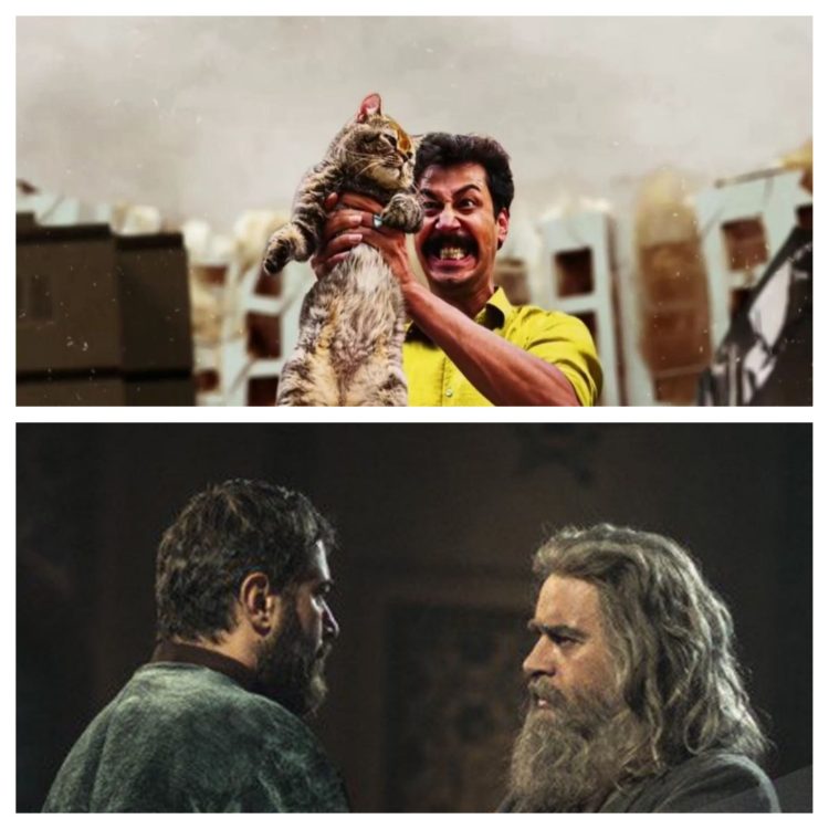 تازه‌ترین خروجی شورای صنفی نمایش: دستور اکران عیدفطر #سال_گربه و #مست_عشق