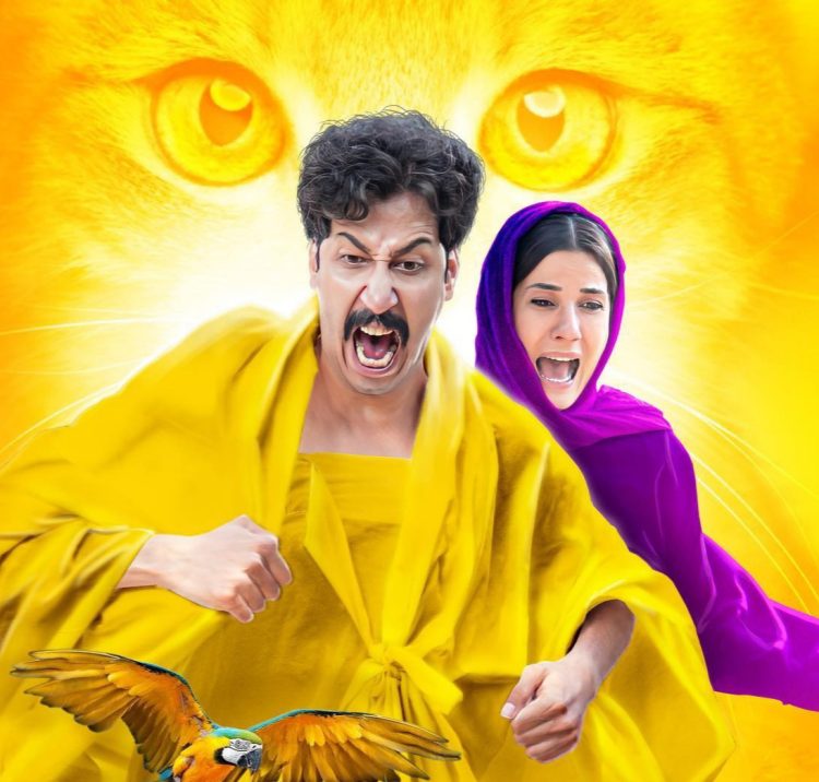 بهرام افشاری و پیمودن راه دوم در فیلم "سال گربه"