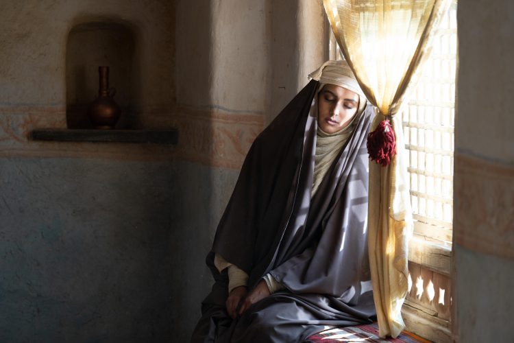 «اخت الرضا» راهی شبکه نمایش خانگی شد/ روایتی از زندگی حضرت معصومه (س)