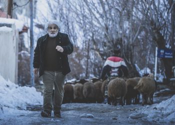 عشق دختر شیرازی و خواننده کره‌ای/فیلم سینمایی "چشم بادومی" با بازی ساره بیات و مهدی هاشمی در جشنواره فیلم فجر۴۳