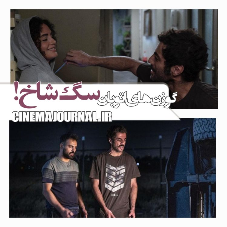 فیلم "گوزنهای اتوبان"(ابوالفضل صفاری): سگشاخ!