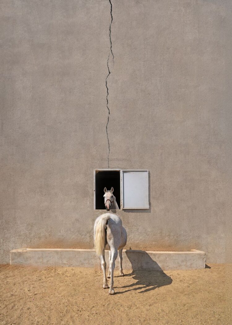 خوشرو عکاس برتر کانسپچوال (مفهومی) مسابقات 35AWARDS 2024 شد