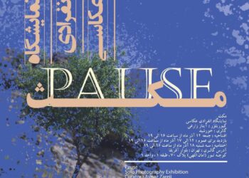 روی طبیعت «مکث» کنید/ دعوتی برای توقفی کوتاه و تأمل در زیباییهای نهان طبیعت