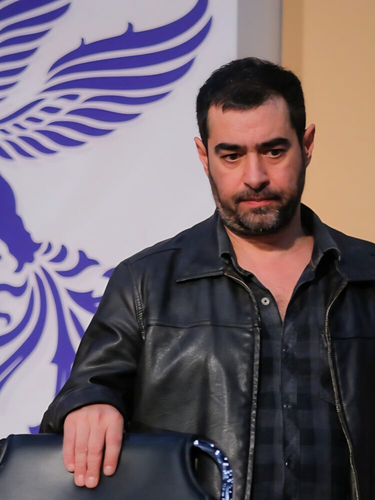 کدام وادی سیّد؟ آرکاییک‌سازی به سبک هوش مصنوعی؟/واکنش مخاطبان به شهاب حسینی ادامه دارد…