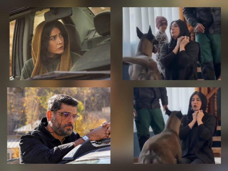 سگبازی فریبا نادری دربرابر سام درخشانی وسط جنگ دوازده روزه!+فیلم