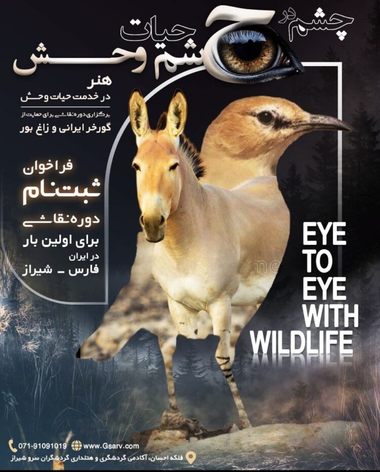 رویداد «چشم در چشم حیات‌وحش» برگزار می‌شود/ خلق آثار با الهام از مشاهدات میدانی در قلب زیستگاه‌ها