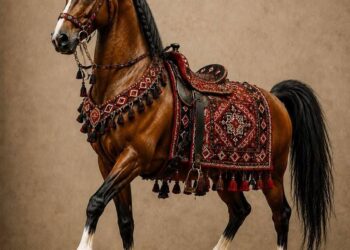 روایت اسب درهشوری به زبان هنر