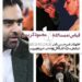 اظهارات غیرمنتظره امیرحسین ثابتی درباره سازندگان “قاتل و وحشی”، “پیرپسر” و “غریزه”/مقایسه حمید نعمت‌الله با محمود کریمی!