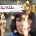 رونمایی از نخستین تصویر لیلا حاتمی در «بُت»+حرفهای کارگردان درباره وضعیت «قاتل و وحشی»